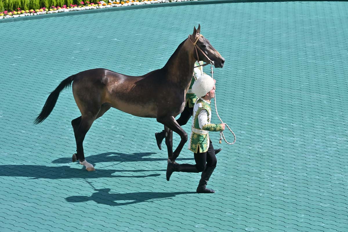 President of Turkmenistan took part in festivities on the occasion of the national holiday of the Turkmen horse